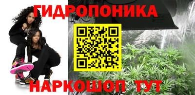 ALPHA PVP Кандалакша