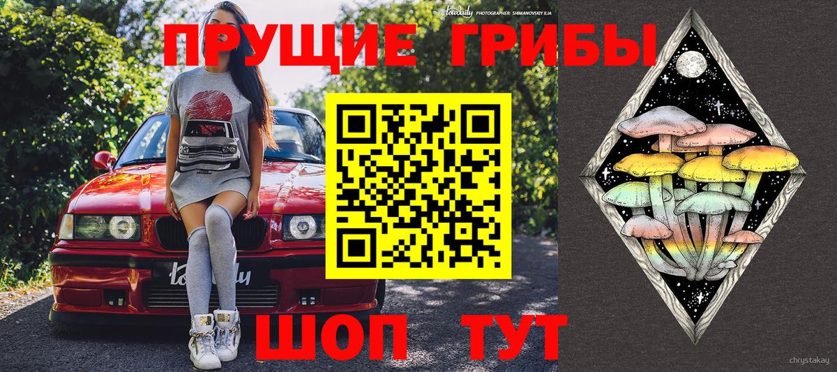 Куйбышев  Псилоцибиновые грибы мицелий  наркотики  Вход с VPN 